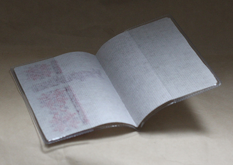 Обкладинка на паспорт "Ясиня"