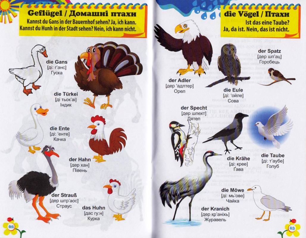 Німецька для дітей: Словник у малюнках. Deutsch